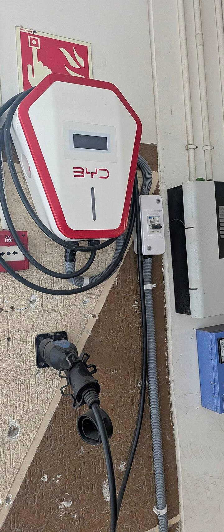 A BYD já fatura mais que a Tesla (e o mercado ainda não acordou)