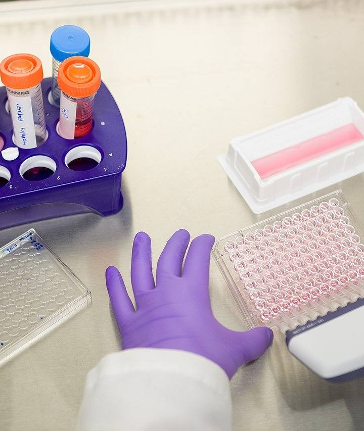 Peptídeos: o que são, como funcionam e por que a China virou a fábrica disso
