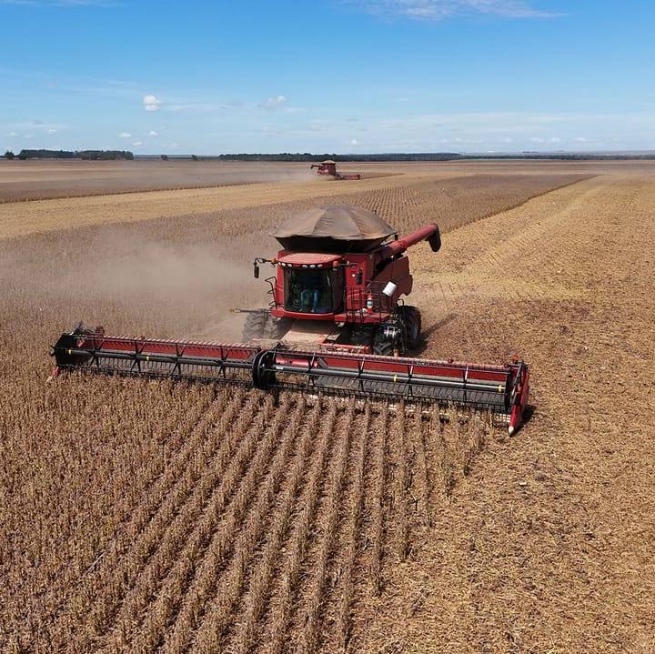 A China quer depender menos da comida importada