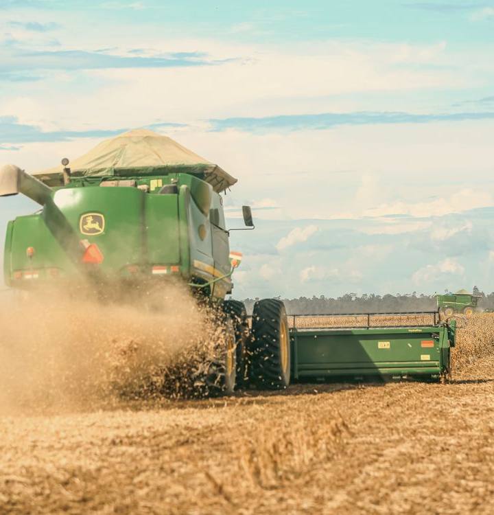Por que a China quer depender menos do agro