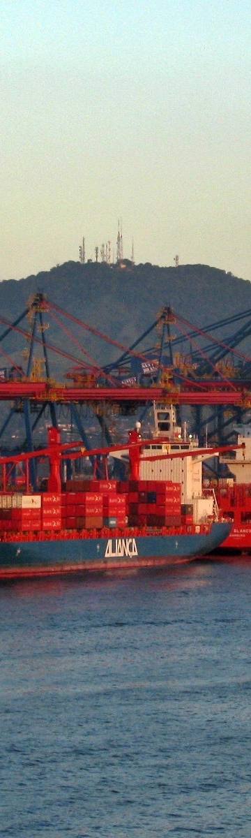A China comprou o caminho da soja brasileira