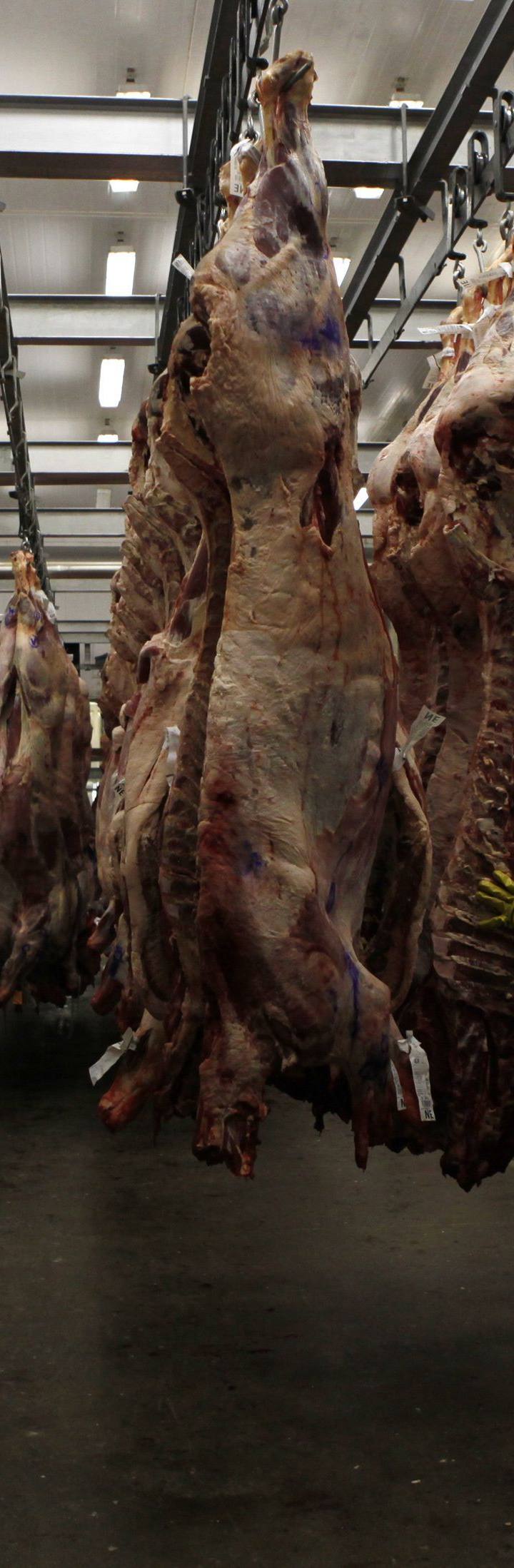 A cota chinesa da carne esgotou: 42 frigoríficos no impacto, férias coletivas e efeito no preço