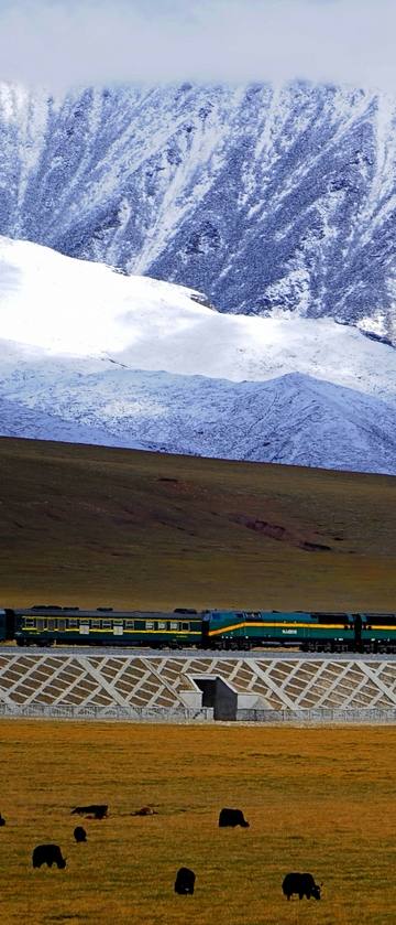 Ferrovia do Tibete: o trem que sobe a 5.072 m e resiste ao permafrost