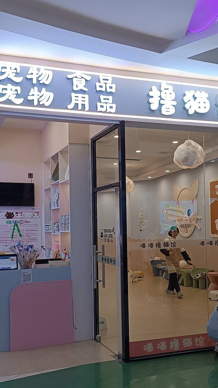 O mercado pet da China mudou de fase e a fabrica sobrou