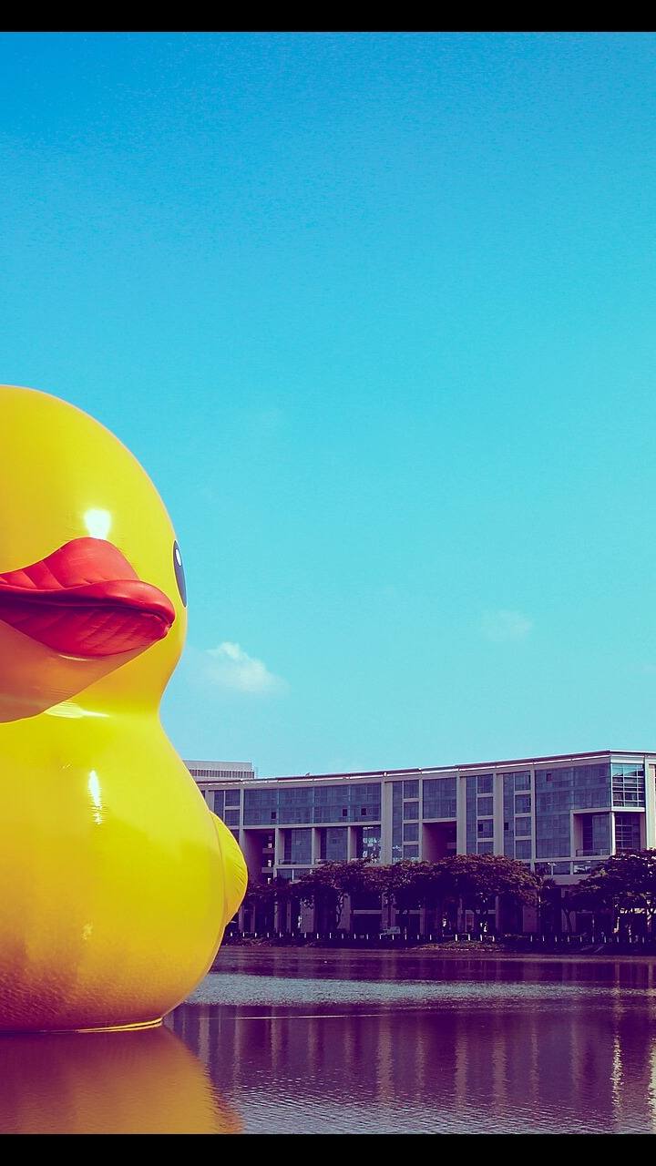 O pato robo de US$ 399 que nasce em Shenzhen